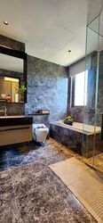 Parksuites (D10), Apartment #626816461
